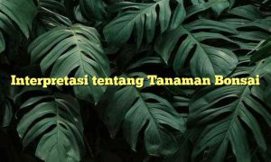 Interpretasi tentang Tanaman Bonsai