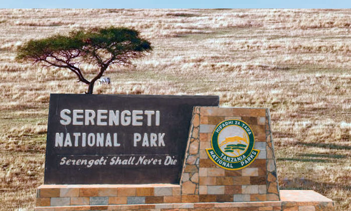 taman nasional serengeti tanzania