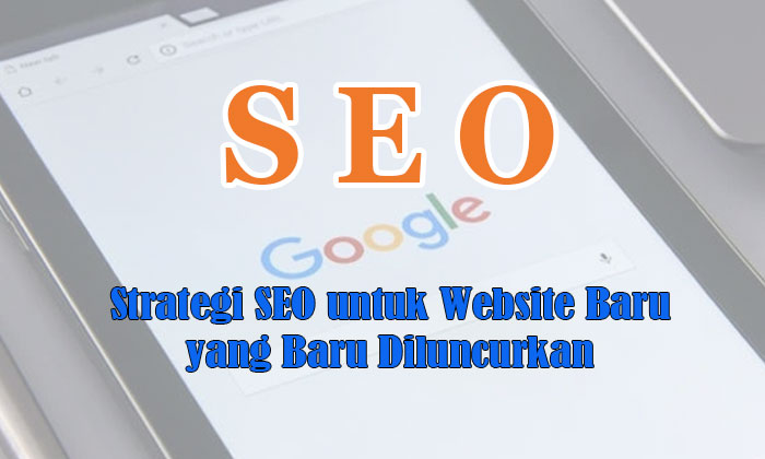 strategi seo untuk website baru